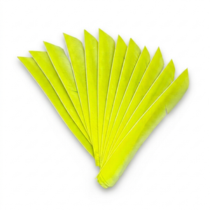 Premium Full Length Turkey Feathers