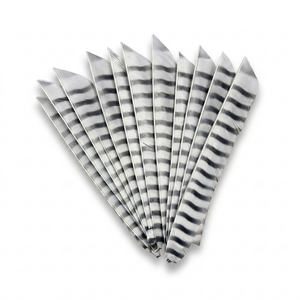 Premium Full Length Turkey Feathers