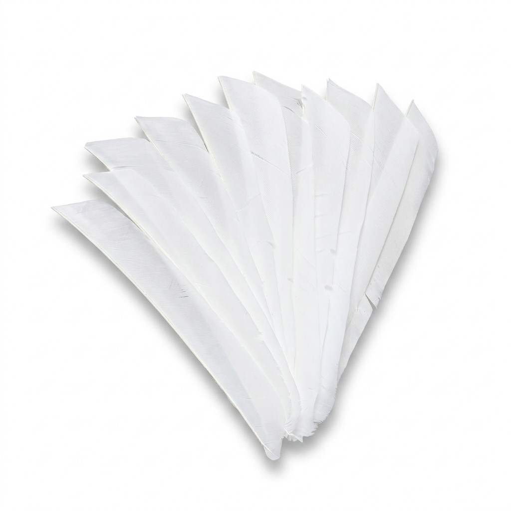 Premium Full Length Turkey Feathers