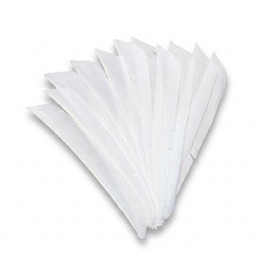 Premium Full Length Turkey Feathers